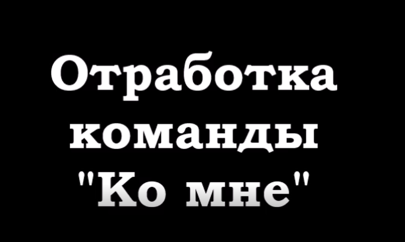 Отработка команды "Ко мне"