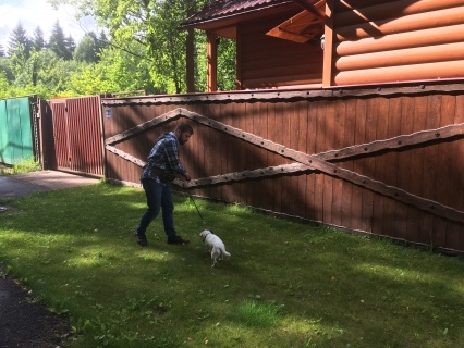 тоник