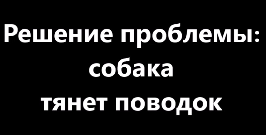 Решение проблемы: собака тянет поводок