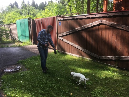 тоник 5